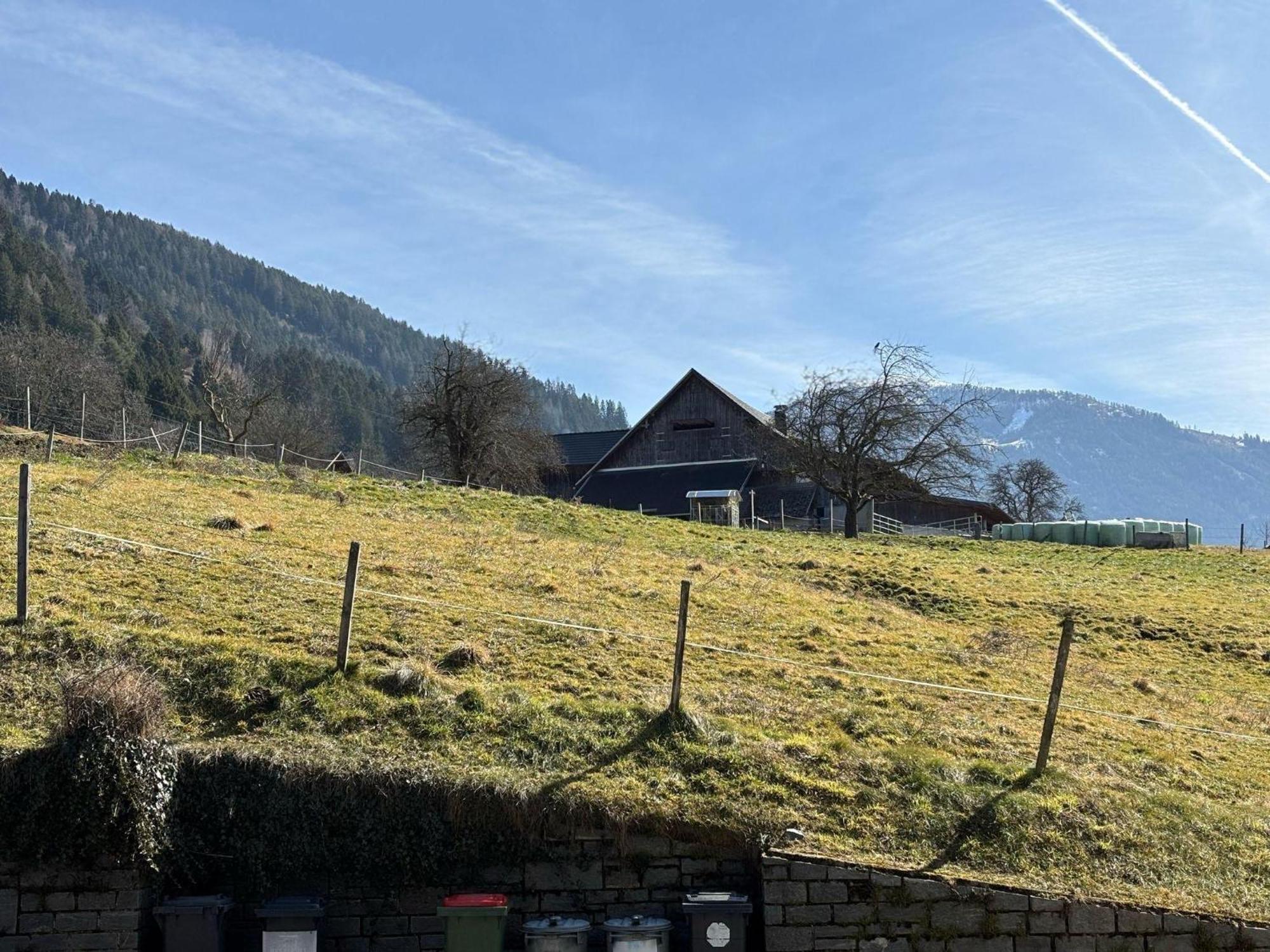 Moderne-Ferienwohnung-Nur-1Km-Vom-Millstaetter-See-In-Kaernten-Entfernt 밀슈타 외부 사진